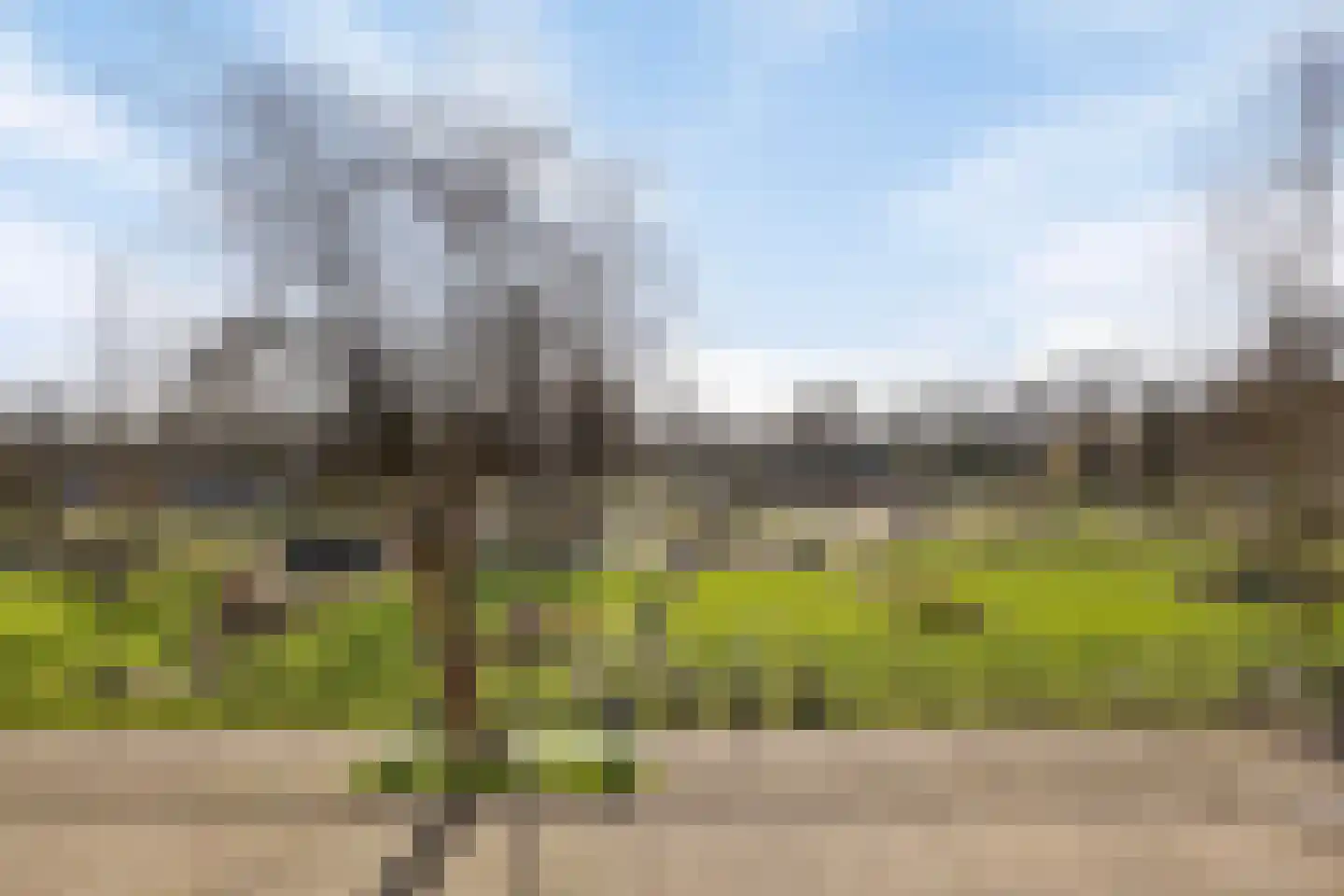 Kruiskampsingel 359 's-Hertogenbosch thumbnail 9