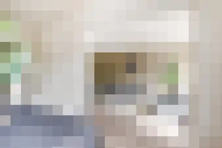 Kruiskampsingel 363 's-Hertogenbosch thumbnail 11