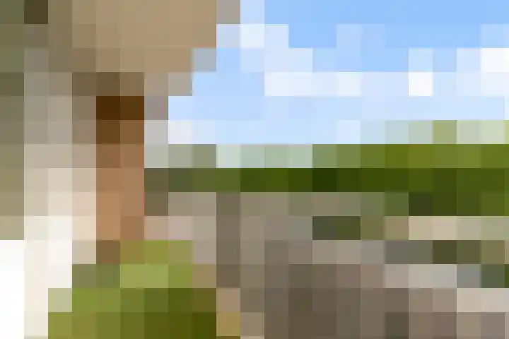 Kruiskampsingel 363 's-Hertogenbosch thumbnail 13
