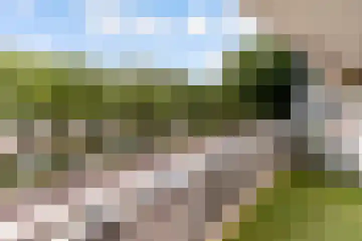 Kruiskampsingel 363 's-Hertogenbosch thumbnail 14