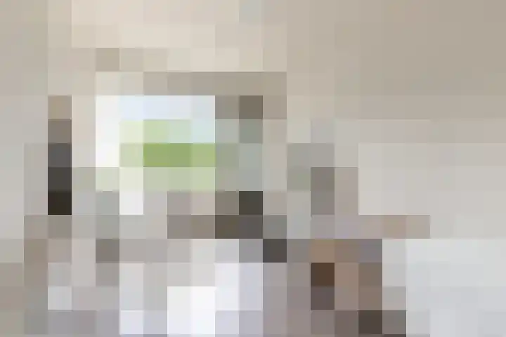 Kruiskampsingel 363 's-Hertogenbosch thumbnail 17