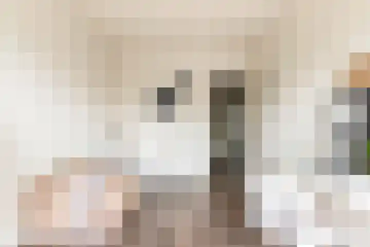 Kruiskampsingel 363 's-Hertogenbosch thumbnail 18