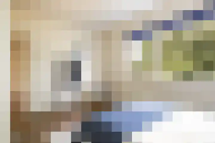 Kruiskampsingel 363 's-Hertogenbosch thumbnail 20
