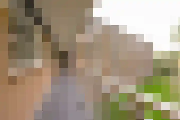 Kruiskampsingel 363 's-Hertogenbosch thumbnail 22