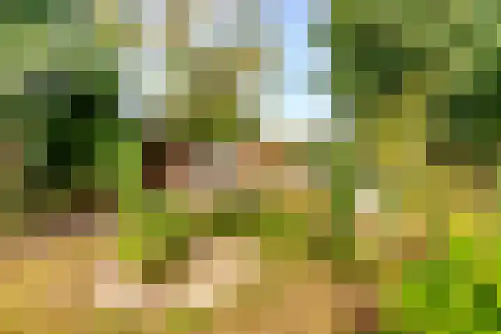 Kruiskampsingel 363 's-Hertogenbosch thumbnail 23