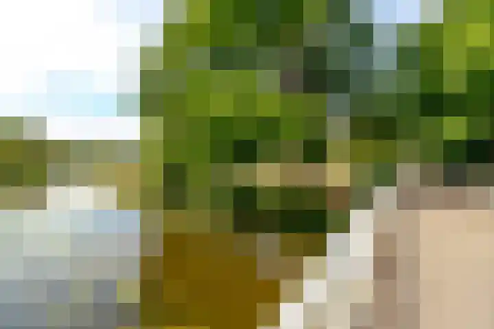 Kruiskampsingel 363 's-Hertogenbosch thumbnail 24