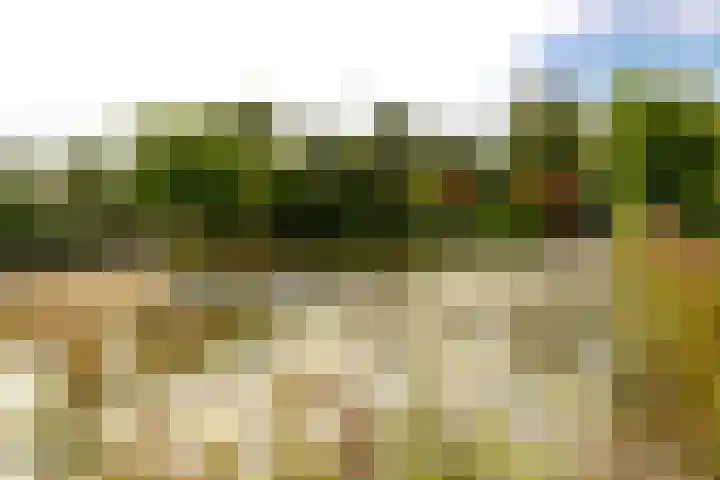 Kruiskampsingel 363 's-Hertogenbosch thumbnail 25