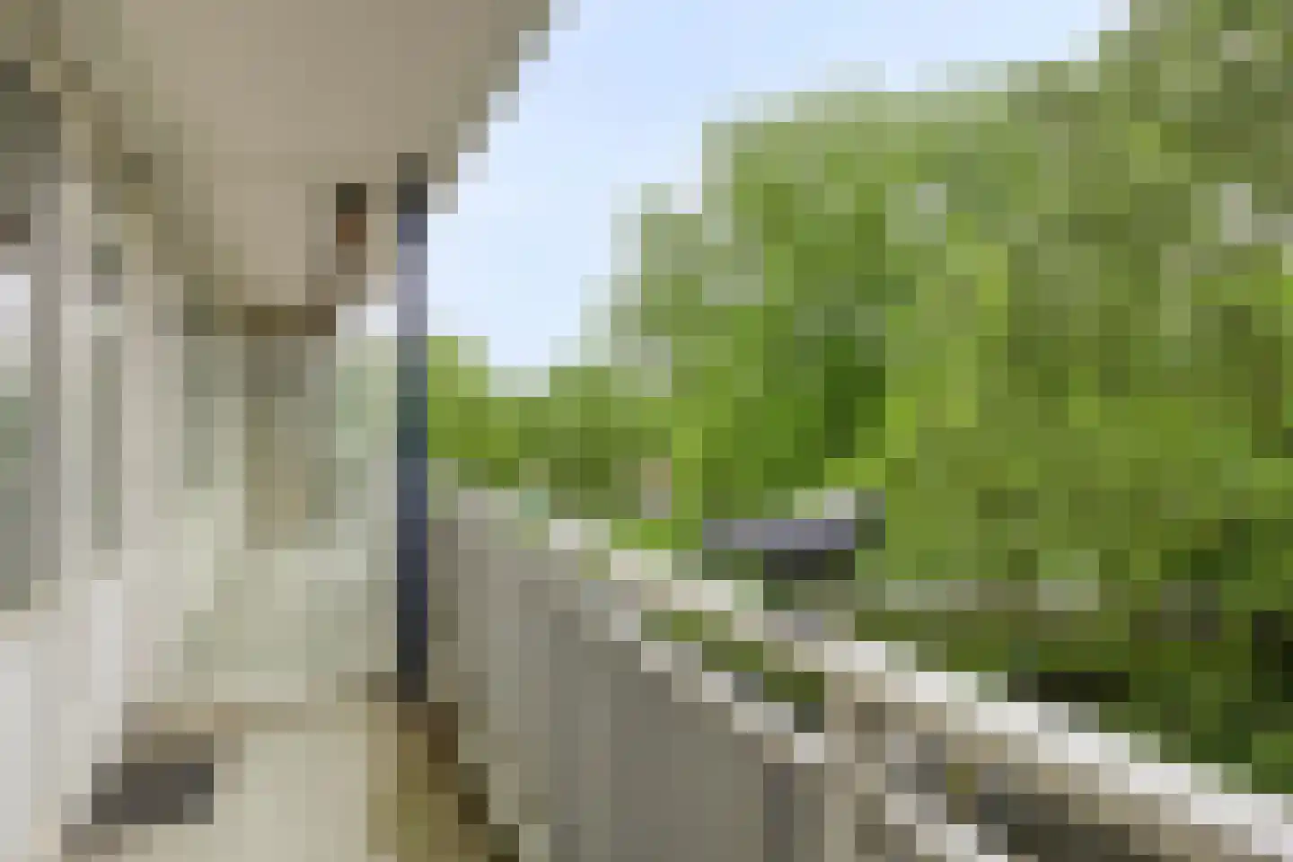 Kruiskampsingel 369 's-Hertogenbosch thumbnail 10