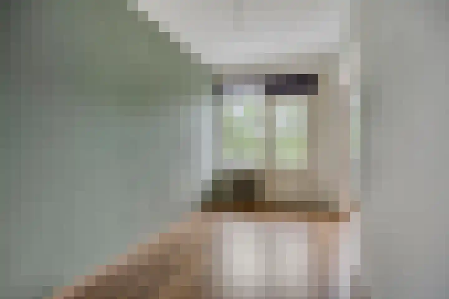 Kruiskampsingel 369 's-Hertogenbosch thumbnail 9