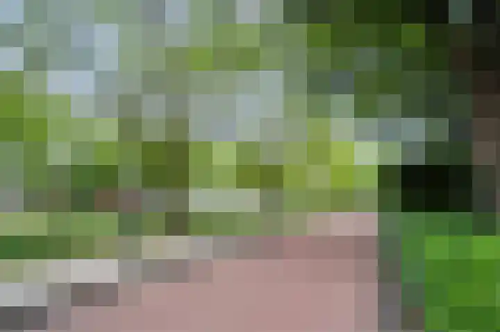 Kruiskampsingel 375 's-Hertogenbosch thumbnail 30