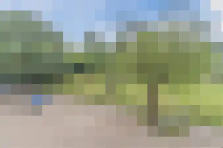 Kruiskampsingel 375 's-Hertogenbosch thumbnail 4