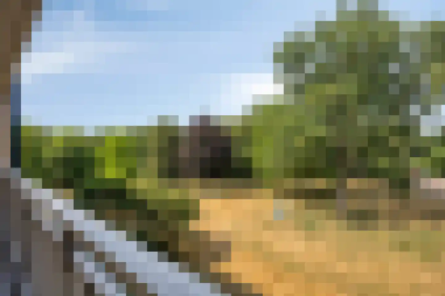 Kruiskampsingel 41 's-Hertogenbosch thumbnail 17