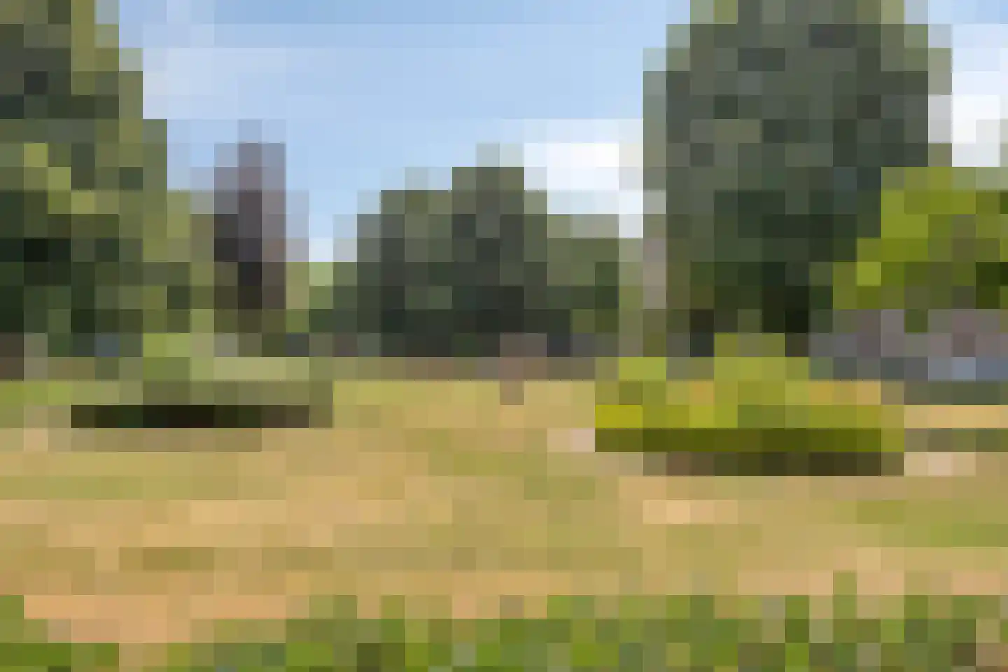 Kruiskampsingel 41 's-Hertogenbosch thumbnail 26