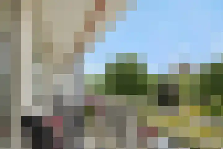 Kruiskampsingel 43 's-Hertogenbosch thumbnail 10