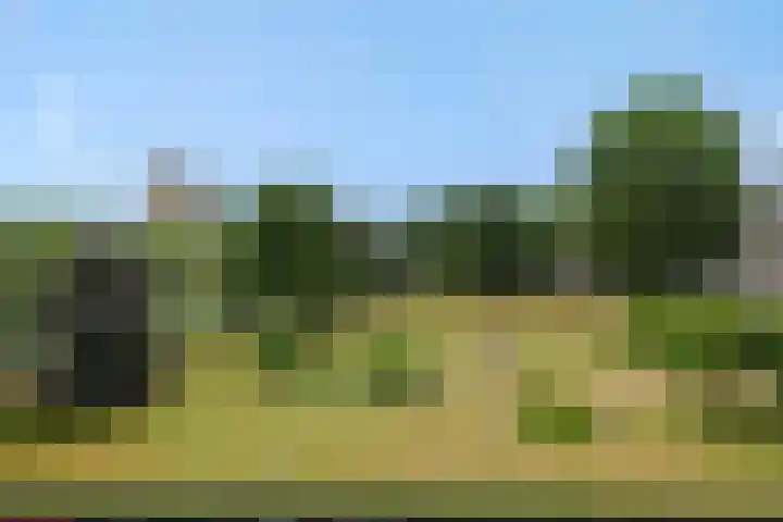 Kruiskampsingel 43 's-Hertogenbosch thumbnail 21