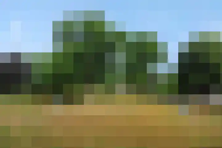 Kruiskampsingel 43 's-Hertogenbosch thumbnail 22