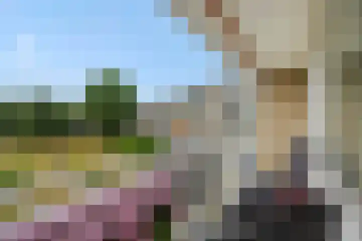Kruiskampsingel 43 's-Hertogenbosch thumbnail 4