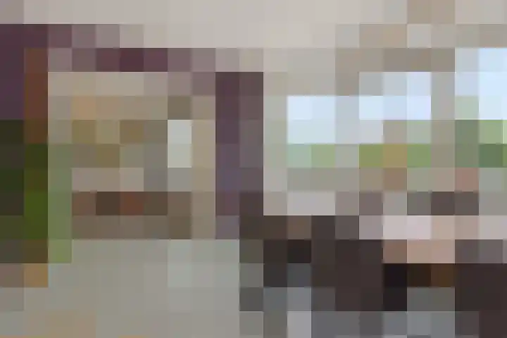 Kruiskampsingel 43 's-Hertogenbosch thumbnail 5