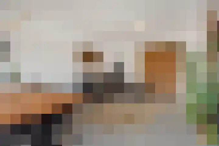 Kruiskampsingel 43 's-Hertogenbosch thumbnail 6