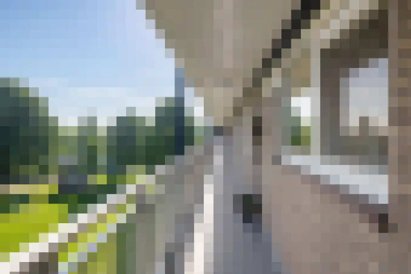 Kruiskampsingel 57 's-Hertogenbosch thumbnail 14