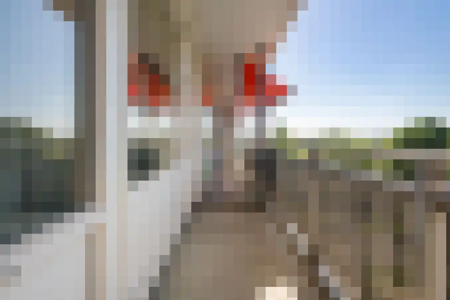 Kruiskampsingel 57 's-Hertogenbosch thumbnail 34