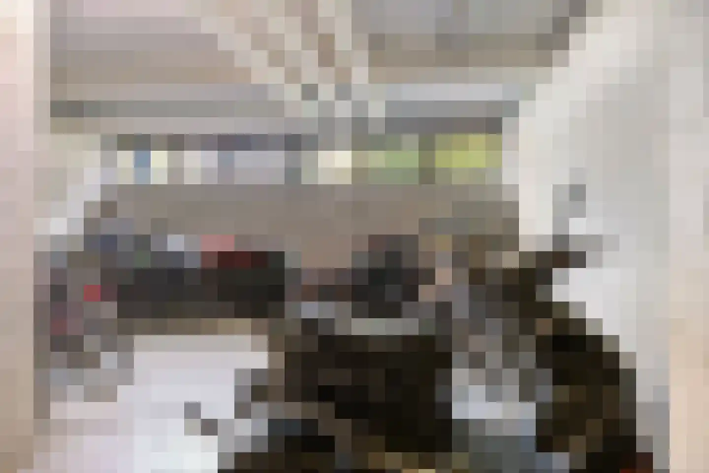 Kruiskampsingel 57 's-Hertogenbosch thumbnail 40