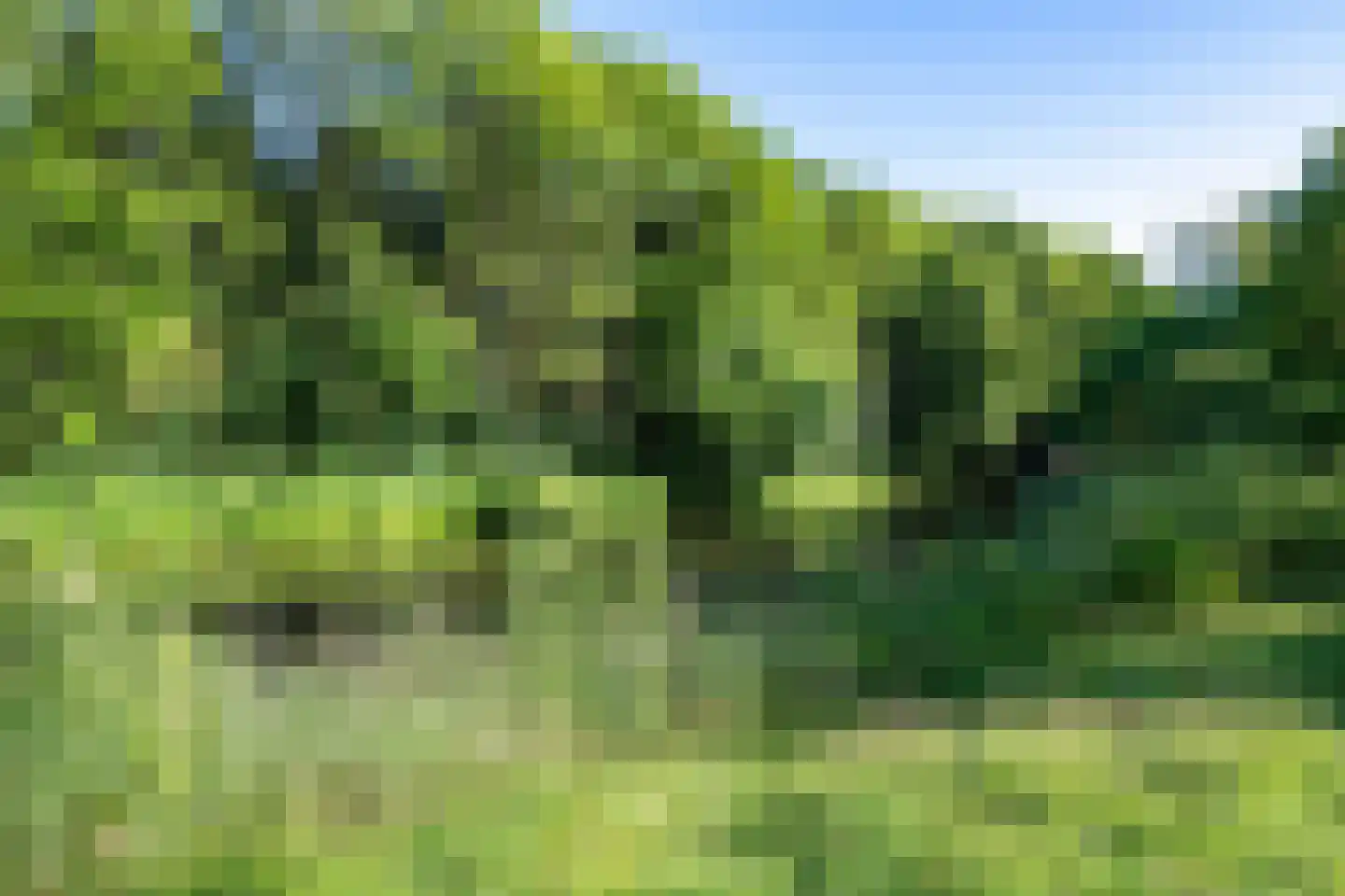 Kruiskampsingel 57 's-Hertogenbosch thumbnail 46