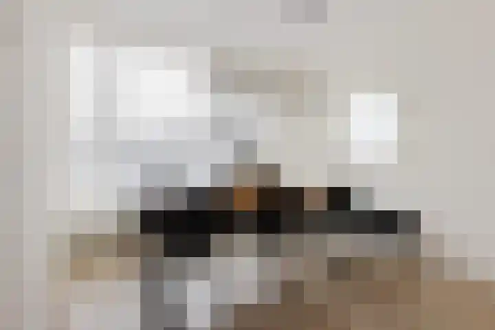 Kruiskampsingel 66 's-Hertogenbosch thumbnail 12