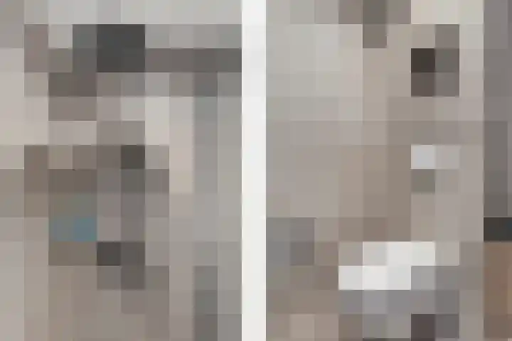 Kruiskampsingel 66 's-Hertogenbosch thumbnail 8