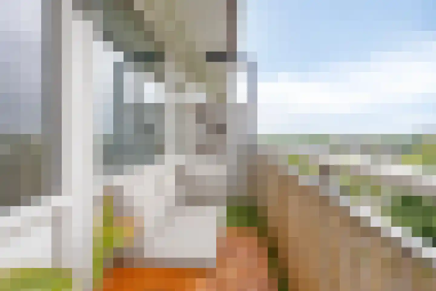 Kruiskampsingel 93 's-Hertogenbosch thumbnail 12
