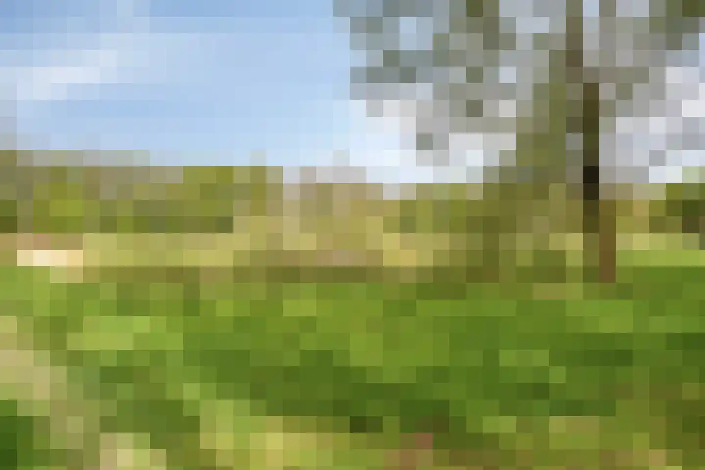 Kruiskampsingel 93 's-Hertogenbosch thumbnail 31