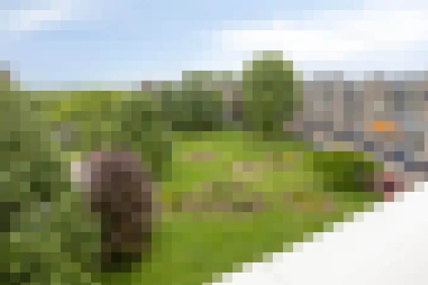 Kruiskampsingel 93 's-Hertogenbosch thumbnail 32