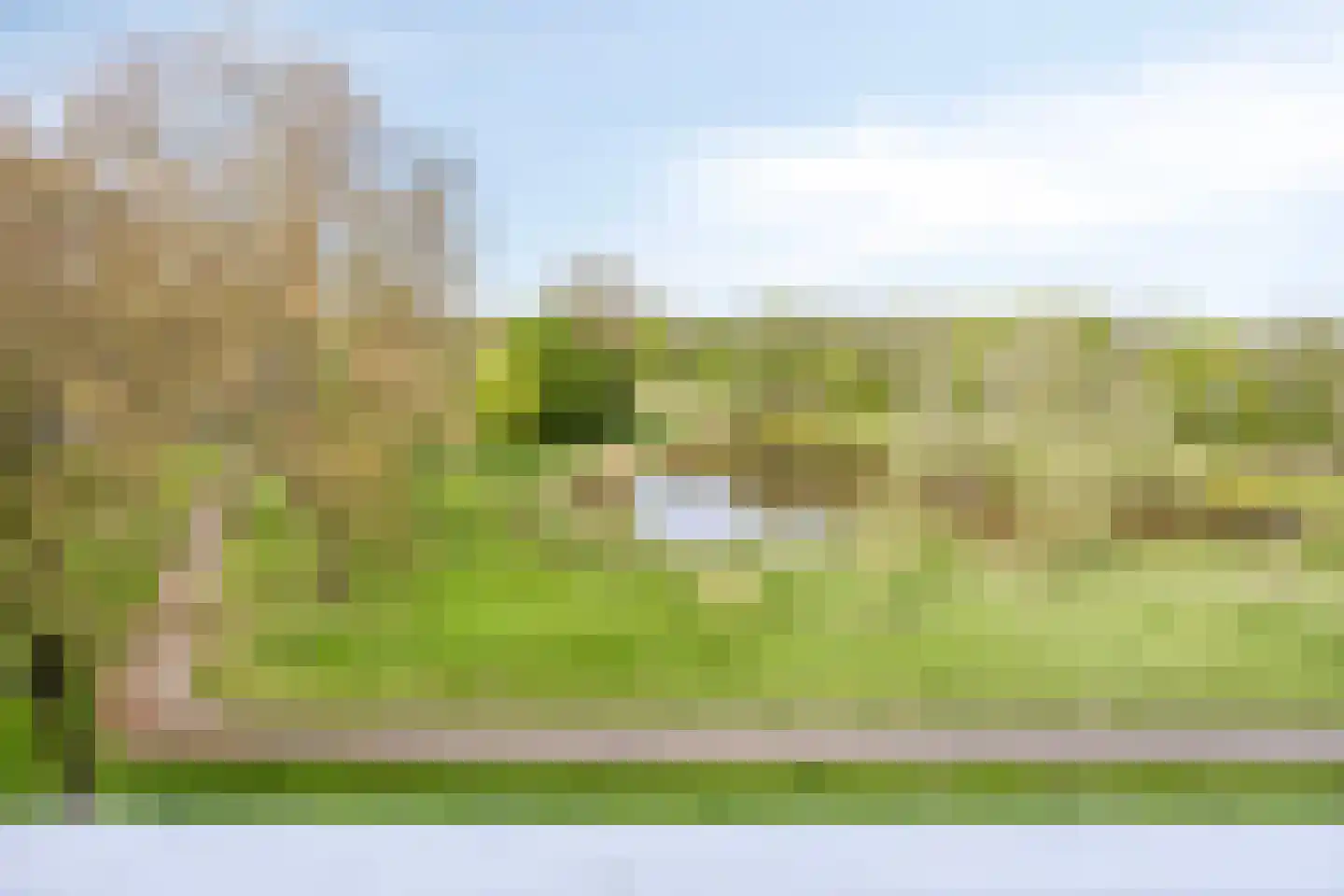 Kruiskampsingel 93 's-Hertogenbosch thumbnail 4