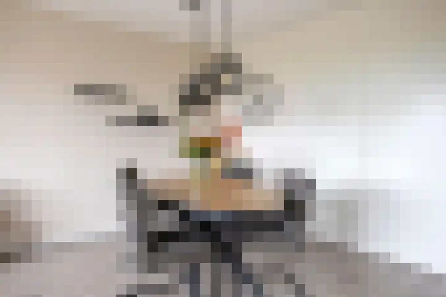 Kruiskampsingel 93 's-Hertogenbosch thumbnail 9