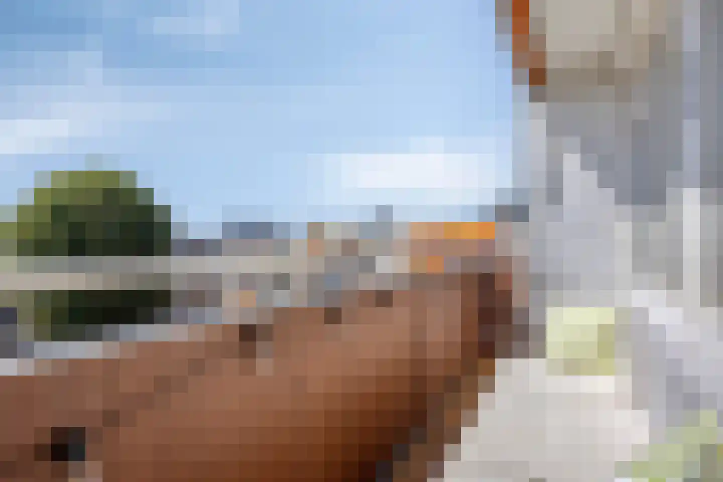 Kruiskampsingel 97 's-Hertogenbosch thumbnail 21