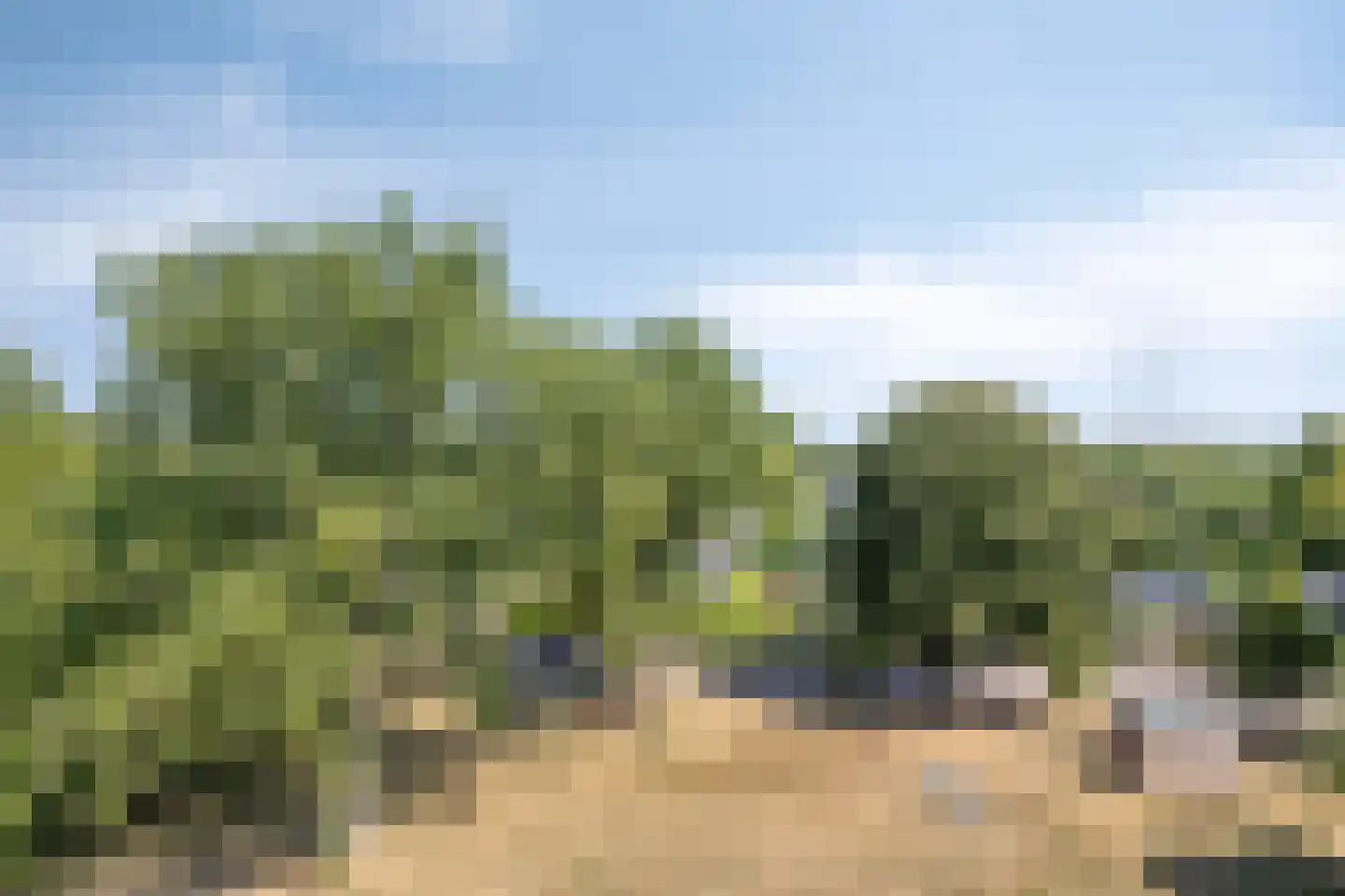 Kruiskampsingel 97 's-Hertogenbosch thumbnail 30