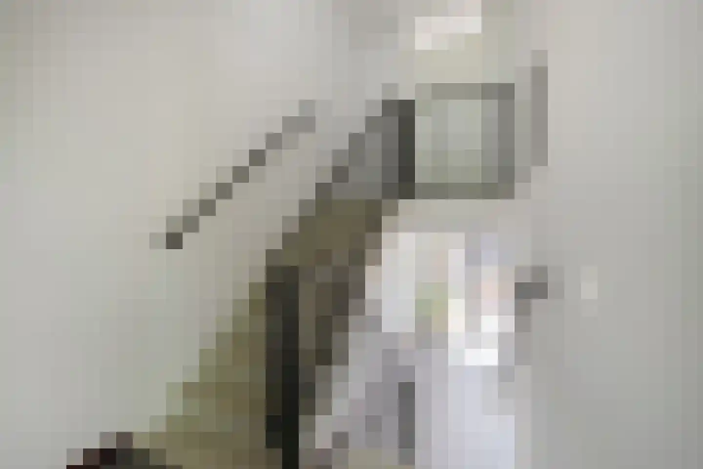 Kruiskensweg 20 a Asten thumbnail 13