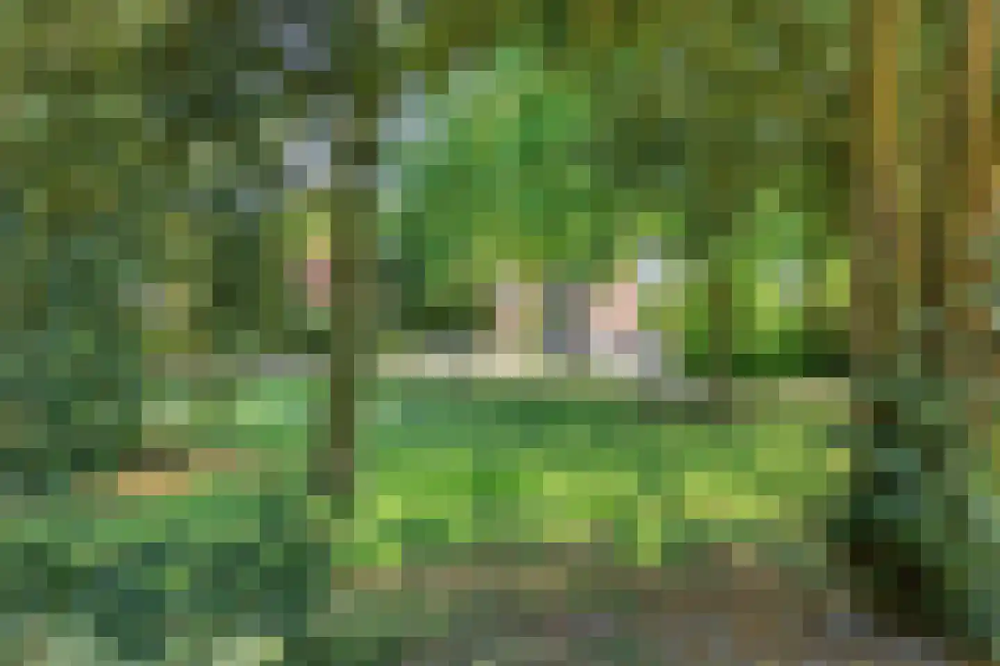 Kruiskensweg 20 a Asten thumbnail 28