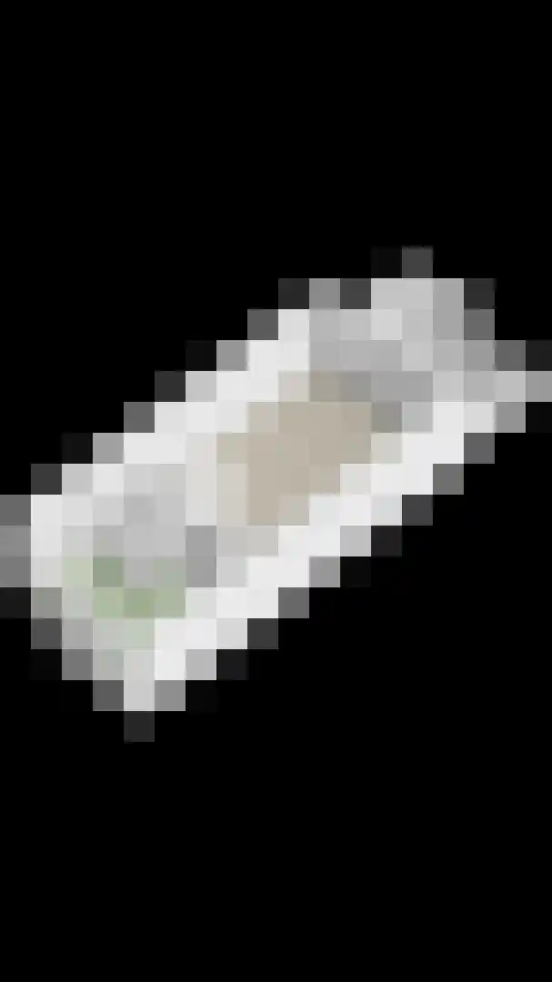 Kruiskensweg 20 a Asten thumbnail 34