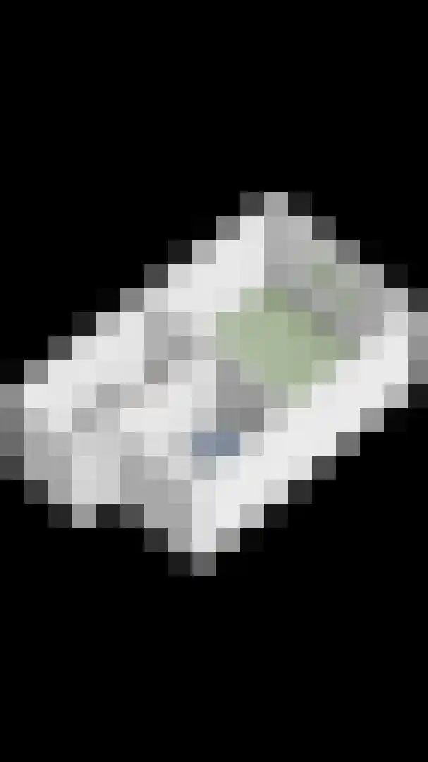 Kruiskensweg 20 a Asten thumbnail 35