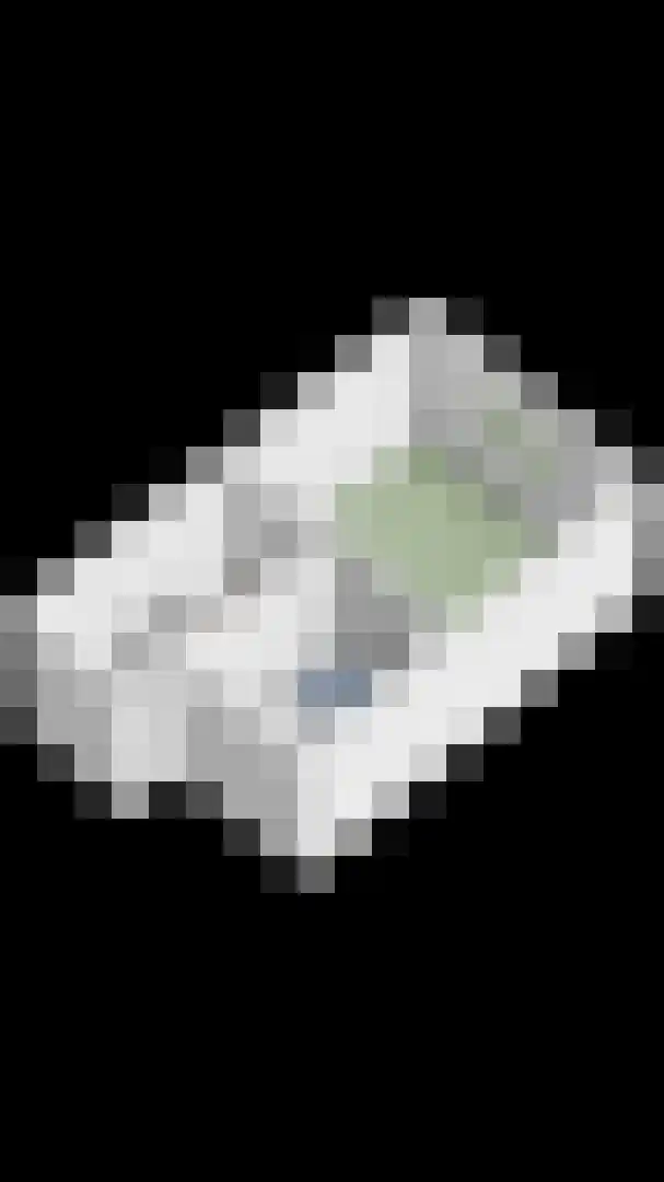 Kruiskensweg 20 a Asten thumbnail 35
