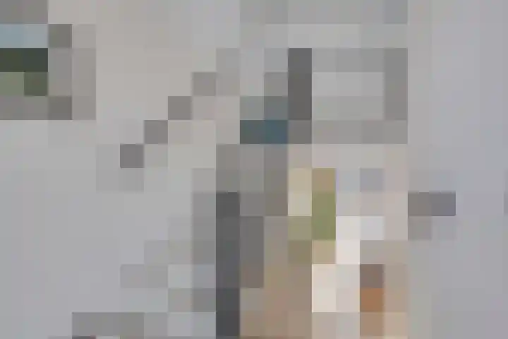 Kruiskensweg 22 a Asten thumbnail 10
