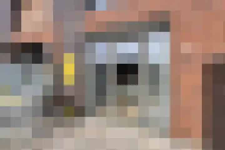 Kruiskensweg 22 a Asten thumbnail 21
