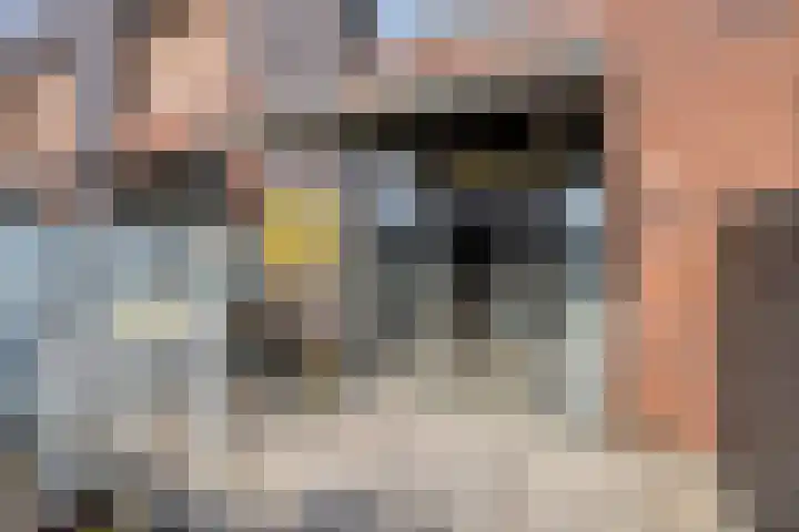 Kruiskensweg 22 a Asten thumbnail 22