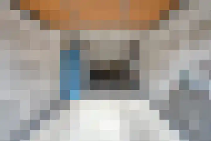 Kruiskensweg 22 a Asten thumbnail 25