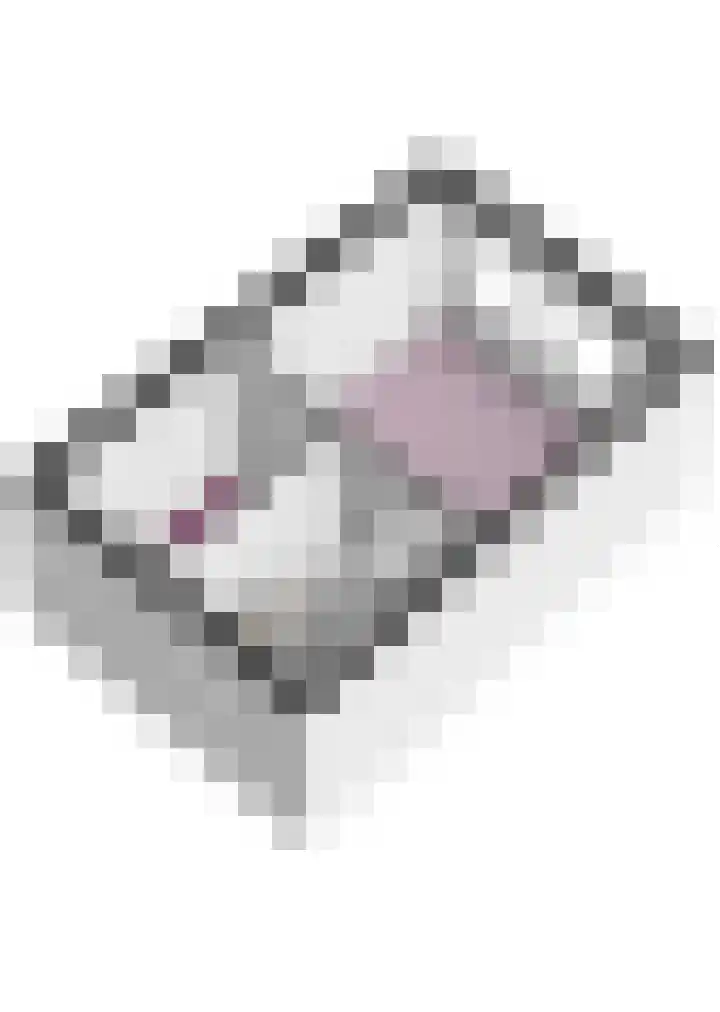 Kruiskensweg 22 a Asten thumbnail 35
