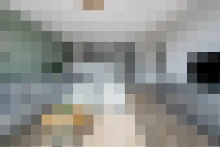 Kruiskensweg 22 a Asten thumbnail 8