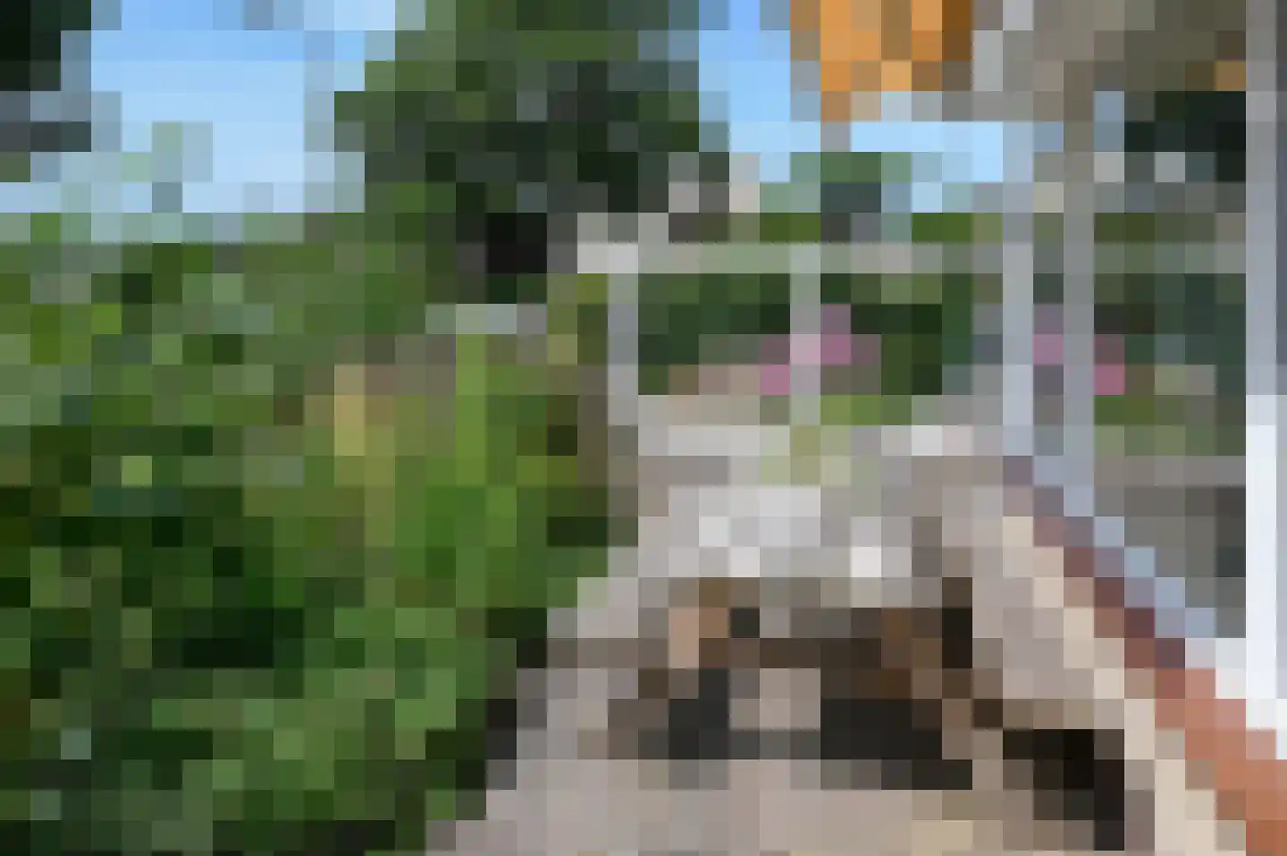 Kruiskroft 24 Egmond-Binnen thumbnail 32