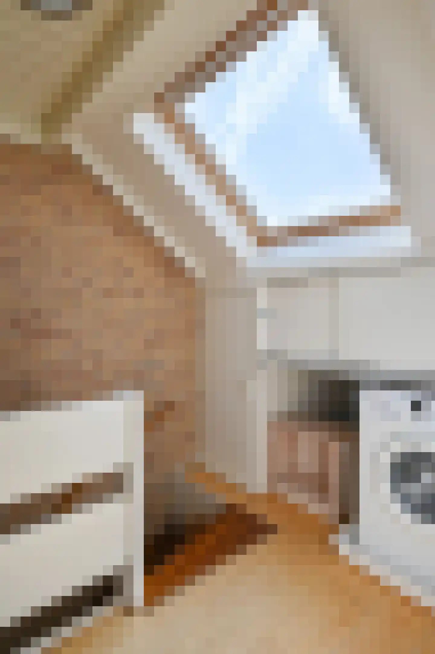 Kruiskroft 24 Egmond-Binnen thumbnail 39