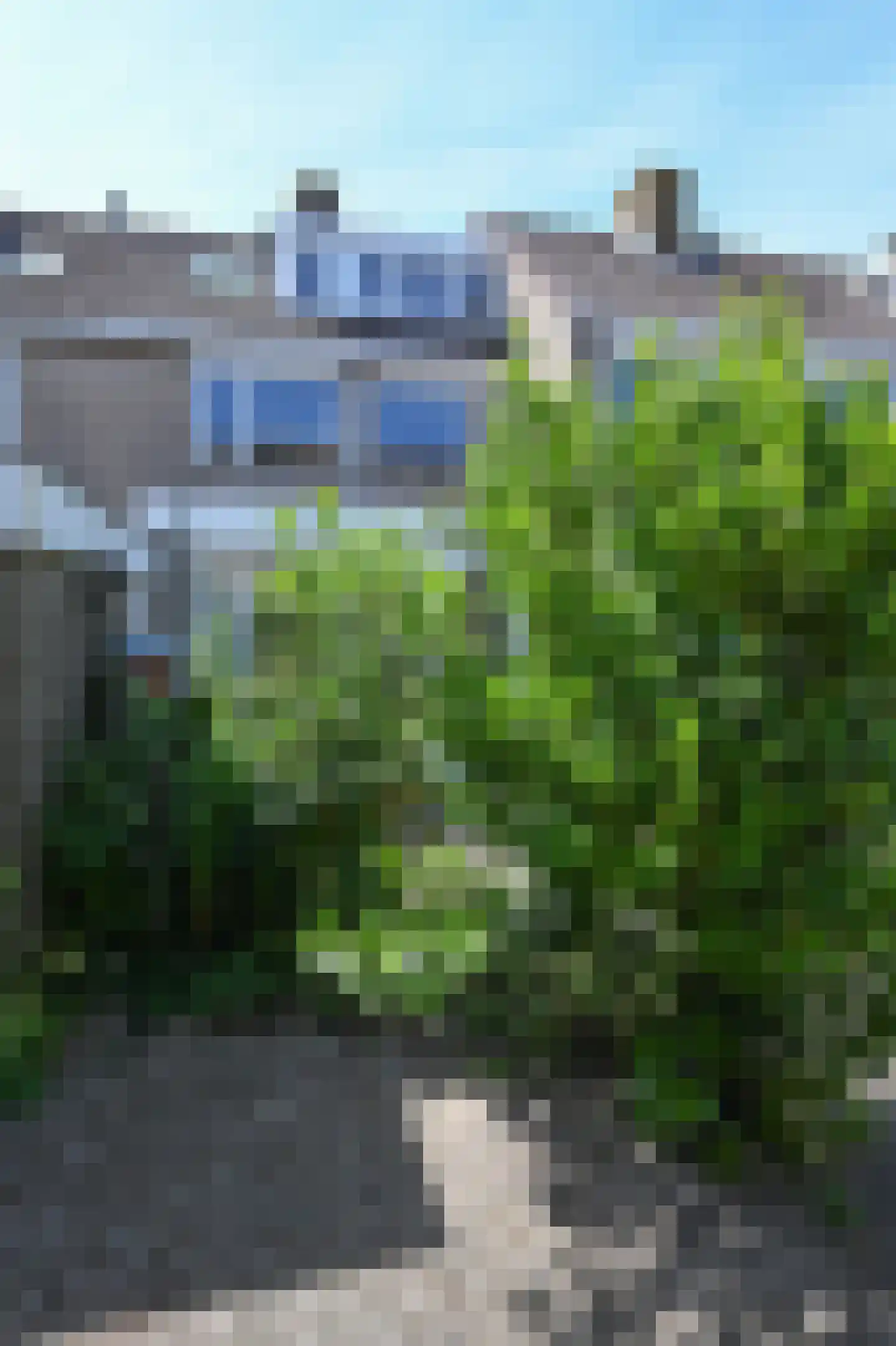 Kruiskroft 24 Egmond-Binnen thumbnail 41